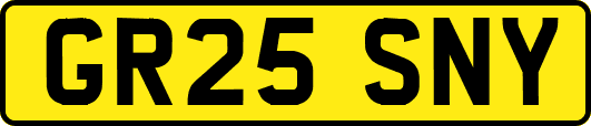 GR25SNY