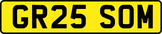 GR25SOM