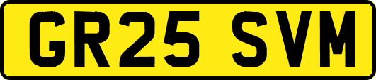 GR25SVM