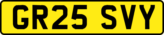 GR25SVY