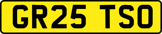 GR25TSO
