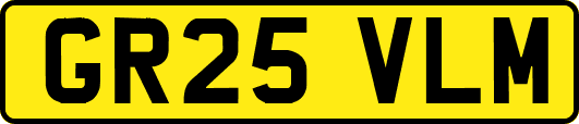 GR25VLM