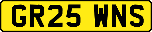 GR25WNS