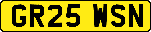 GR25WSN