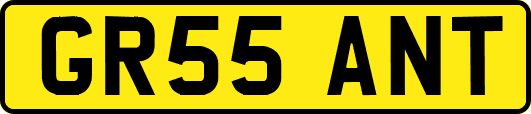 GR55ANT