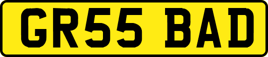 GR55BAD