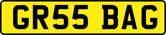 GR55BAG