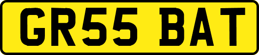 GR55BAT