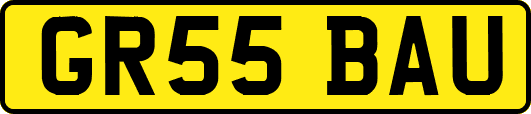 GR55BAU