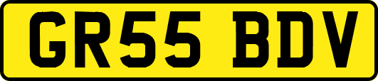GR55BDV