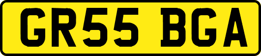 GR55BGA