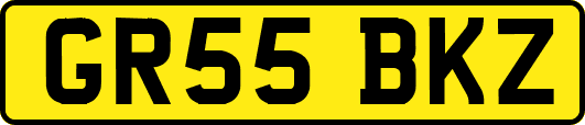 GR55BKZ