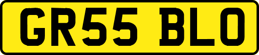 GR55BLO