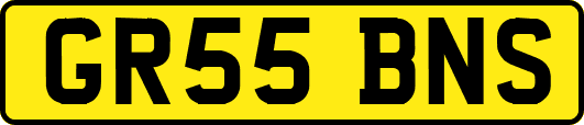 GR55BNS