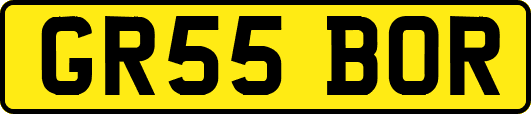 GR55BOR