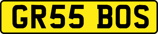 GR55BOS