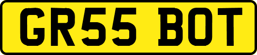 GR55BOT