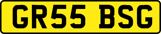 GR55BSG