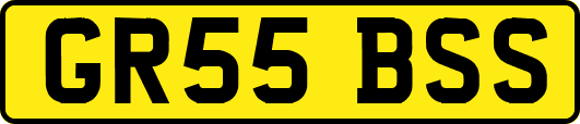 GR55BSS