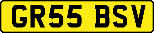 GR55BSV