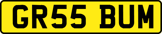 GR55BUM