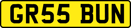 GR55BUN