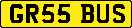GR55BUS