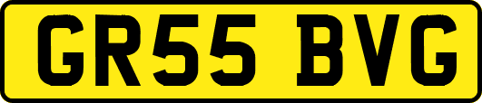 GR55BVG