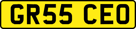 GR55CEO