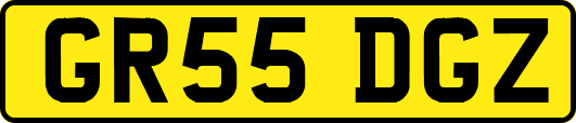 GR55DGZ