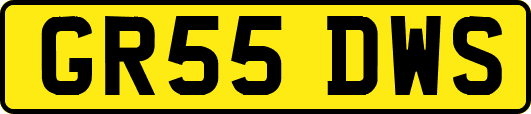 GR55DWS