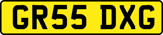 GR55DXG