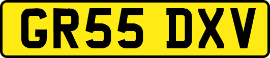 GR55DXV