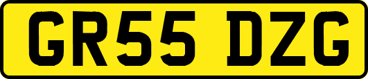 GR55DZG