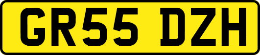 GR55DZH