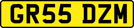 GR55DZM