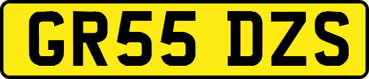GR55DZS