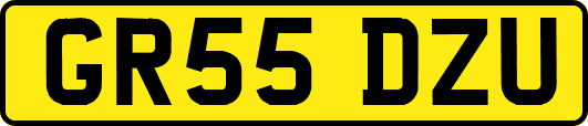 GR55DZU