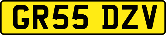 GR55DZV