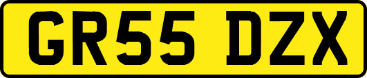GR55DZX
