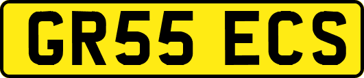 GR55ECS