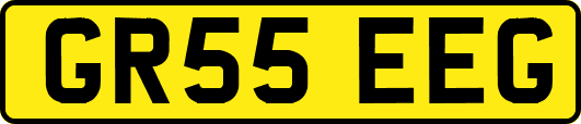 GR55EEG