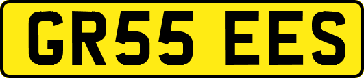 GR55EES