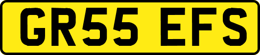 GR55EFS