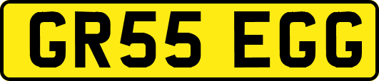 GR55EGG