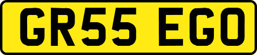 GR55EGO