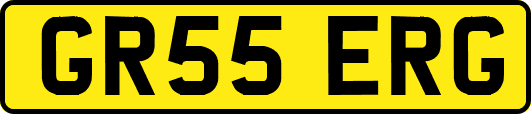 GR55ERG