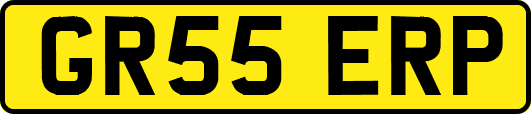 GR55ERP