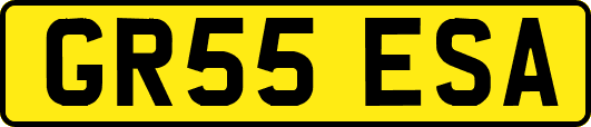 GR55ESA