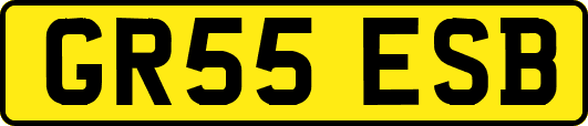 GR55ESB